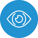 icon-our-vision